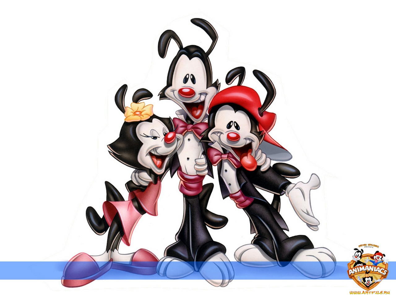 , , , animaniacs